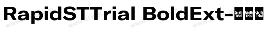 RapidSTTrial BoldExt字体转换